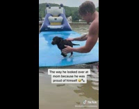 Dog gives guy paw on blue floatie and jumps happy