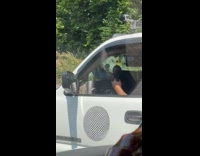 Collab winy - Man hold play maracas while driving truck