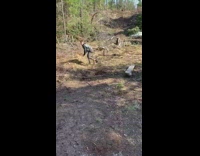 Guy falls rolls off bicycle dirt fail 