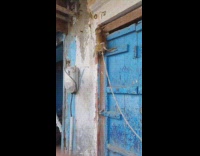 Tiny Monkey Climbs to Corner of Large Door 