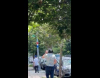 Man wearing tri corner hat walking on sidewalk