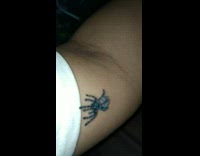 tarantula climbing on guys arm