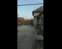 Dog play backyard jump tall wooden fence