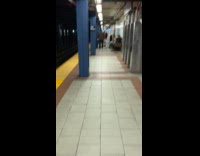 Collab WINY - Man checkered carrying pet snake at subway station 