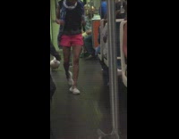 Collab Subway Creatures - Lady tries to gather her pet birds and cat together on subway 