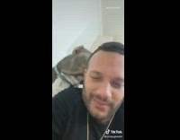 Grey dog licks black shirt guys face 