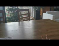 Guy and cat play fetch crumpled paper 