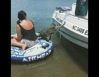 raccoon falls into lake tries to climb on white boat