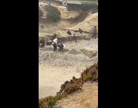 Collab IITW - Two pirate person dig sand for video