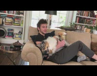 Guy sits couch with australian shepherd dog