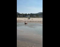 Man run to skimboard slipped and fell