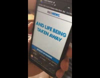 White kitten watches news on phone screen