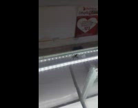 Spider crawl on glass jump towards camera