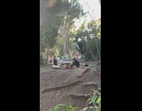 Woman kneel hand on chin park bench