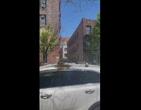 Swarm of honey bees on top of a roof of parked car