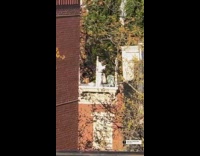 White martial arts uniform person practices rooftop 