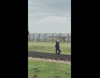 Girl takes selfie outside concentration camp