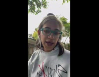 Dog walks slowly through leaves trees