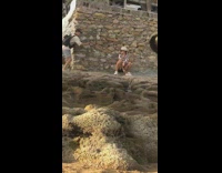 Woman fedora hat sit dance beside wall beach