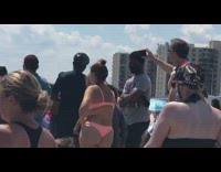 Injured shark gets washed up beach shore 