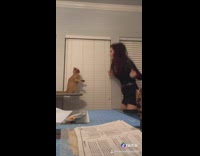 Girl does renegade dance in front of cat, cat swipes paw and tries to fight