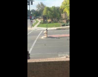 woman sumo costume on pole street