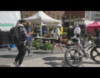 Wolf Costume DJ Plays Music 