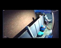 Puppy sneak out while man throws trash 