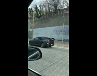 Car driving on freeway with dildo glued on roof