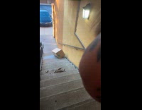 Collab Clips MPUGC - Woman breaks step by throwing heavy box 