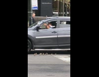 Pigeon sits on guys hand birds gather by car 