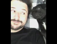 Pug puppy smells guys face 