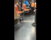 Person throw crumbs to pigeon in train