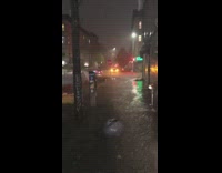 cars stuck on street emergency lights flashing