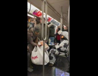 Passenger in cow suit sits on desk in subway train