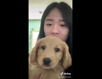Girl holding up dog dancing 