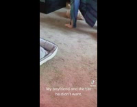 Guy blue flannel pushing cat around carpet floor