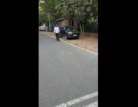 Dog surprised by owner while on walk