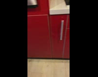 Dog blocked out by red doors from other dog eating 