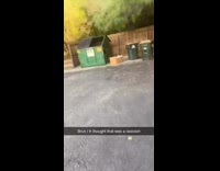 Collab Clips mpugc - Girl approaches green trashcan and finds person in it