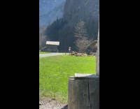 Woman jumps in mountains 