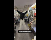 Guy runs into a guy hanging upside down on subway