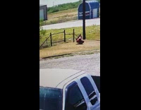 Man in handcuffs tries to escape cop