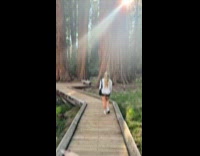 Couple inside forest saw deer inside tree