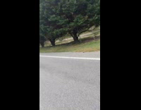 Collab Clips MPUGC - Woman sees donkey for the first time 