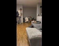 Puppy gets excited when owner comes home on the couch