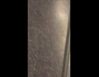 Small brown bat on subway floor flies inside train