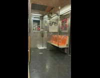 Pile of poop on subway train floor