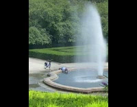 Guy washes his head in water fountain 