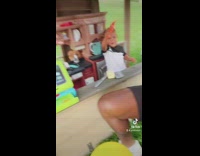 Dad pretends to rob little boy backfires 